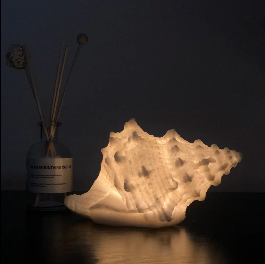 Sand & Shell Light